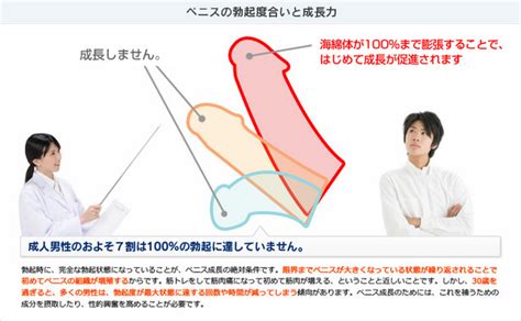 ちんこ 硬くするには|勃起力が低下したかも？硬さ・持続力アップに効果的。